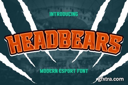 Headbears - Modern E-Sport Display