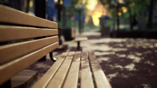 Videohive - Quiet City Park with Trees and Benches - 33823692 - 33823692