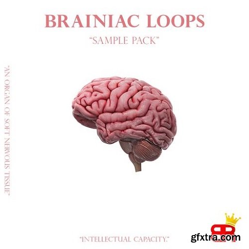 Brown Royal Brainiac Loops WAV