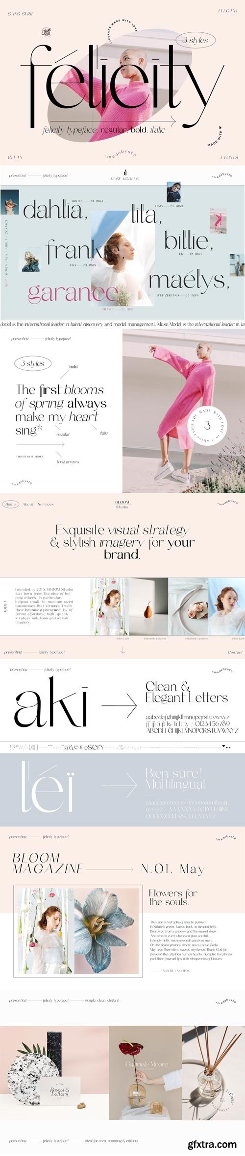 Felicity Font Family