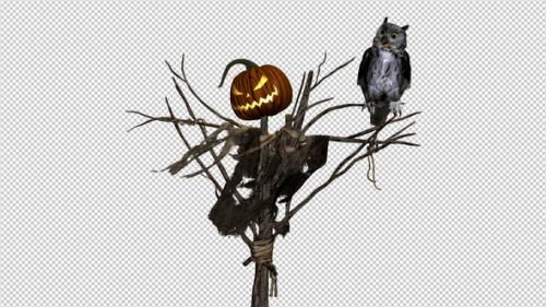 Videohive - Pumpkin Scarecrow and Horned Owl - Transparent Loop - 33846030 - 33846030