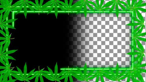 Videohive - Cannabis Neon Frame. Alpha Channel - 33849934 - 33849934