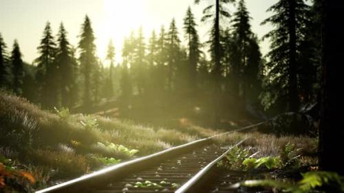 Videohive - Autumn Colours Along a Railway Track at Sunset - 33858307 - 33858307