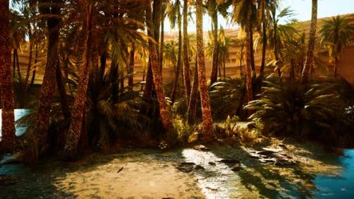 Videohive - Palm Trees in Sahara Desert - 33858339 - 33858339