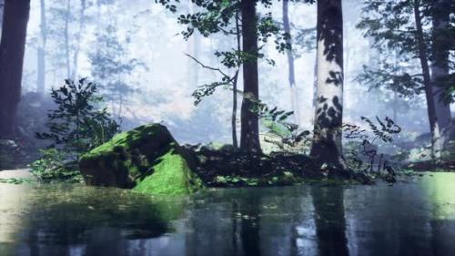 Videohive - Mist on Pond in Forest with Fog - 33858377 - 33858377