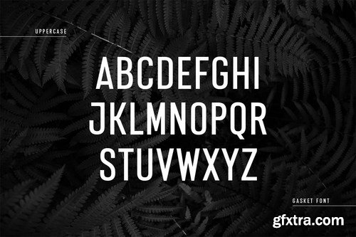 Gasket - Modern Corporate Condensed Sans Serif