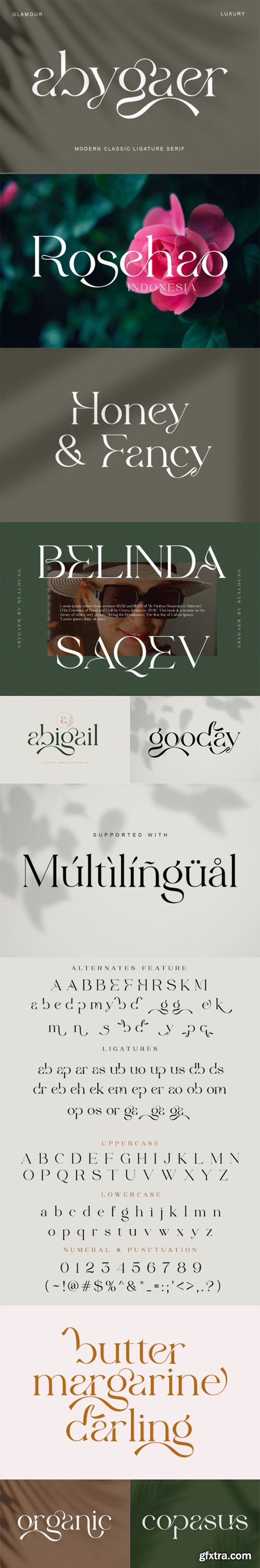 Abygaer Modern Classic Ligature Serif Font