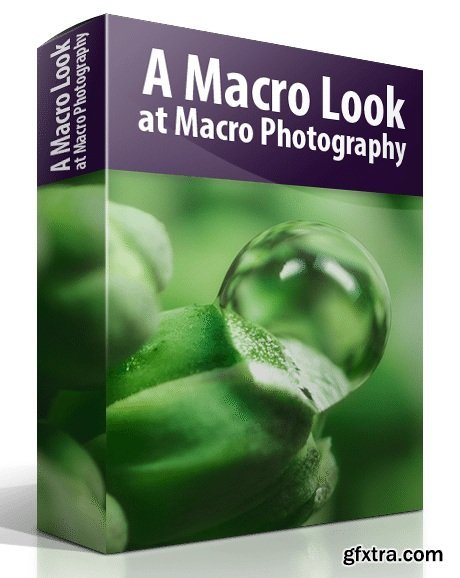 Blake Rudis - A Macro Look at Macro Photography