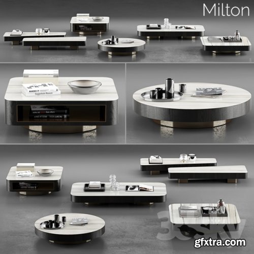 Minotti Milton Coffee Tables 3D model