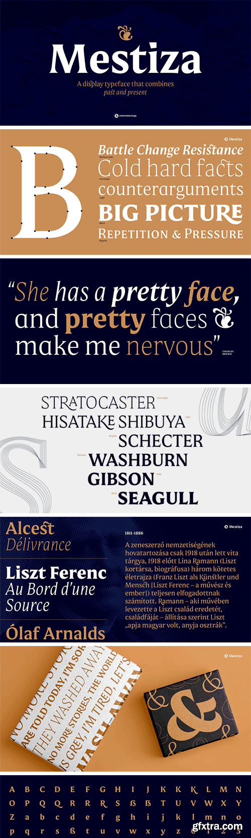 Mestiza Font Family