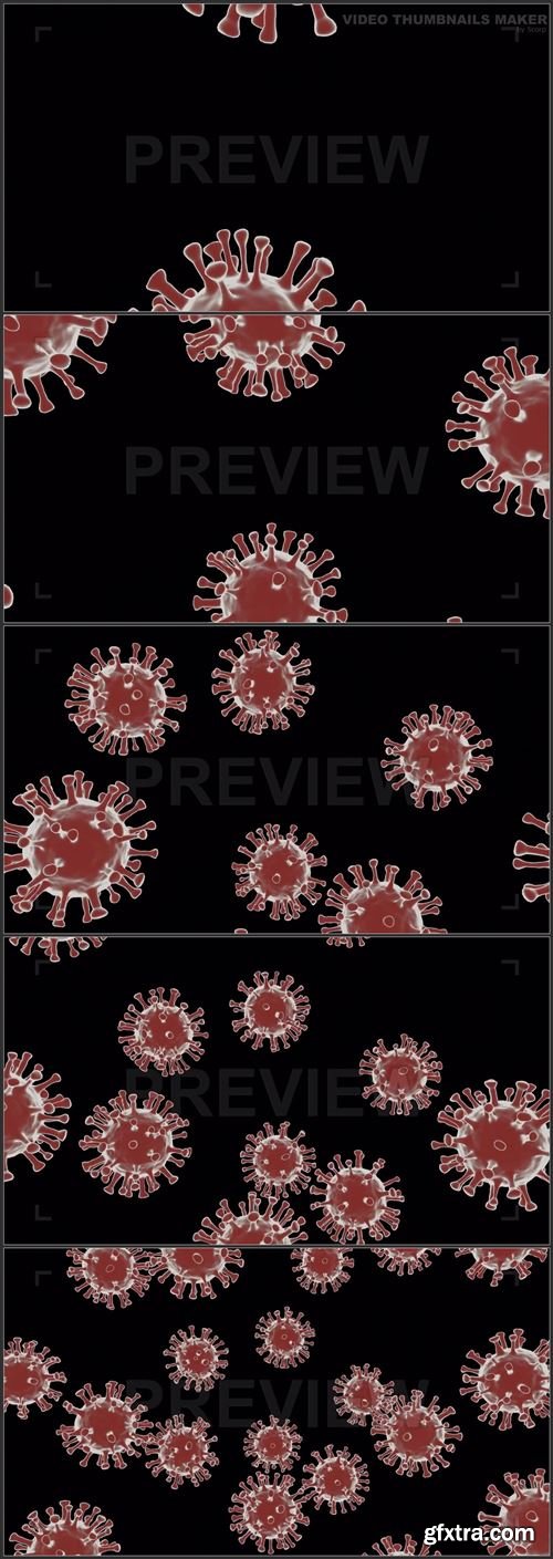 Red Coronaviruses On Alpha 1004224