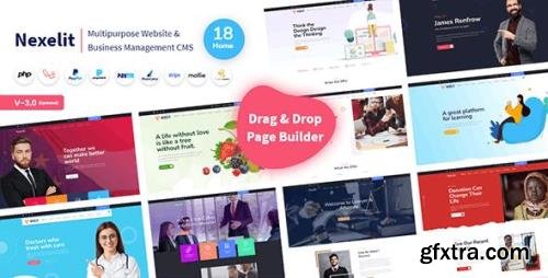 CodeCanyon - Nexelit v3.0.1 - Multipurpose Website & Business Management System CMS - 27936384 - NULLED