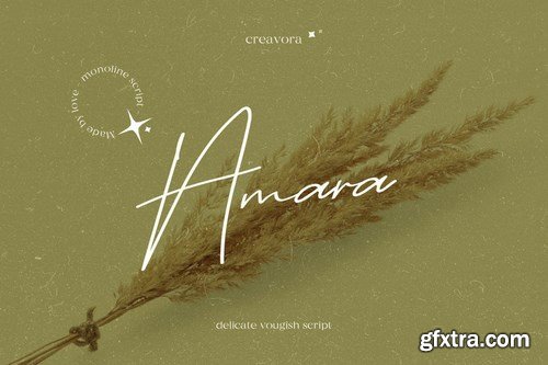 Amara - Signature Script Font