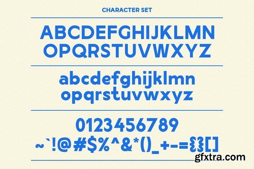 Manford Sans Font