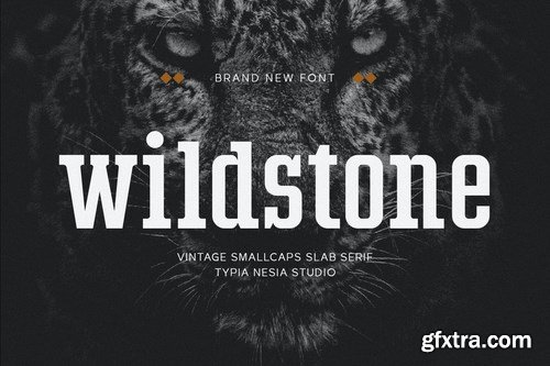 Wildstone - wild vintage smallcaps slab serif