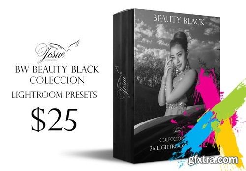 Creativemarket - BEAUTY BLACK - LIGHTROOM PRESETS 1756910