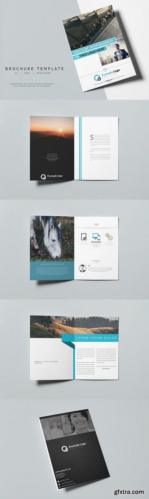 Brochure Template 13