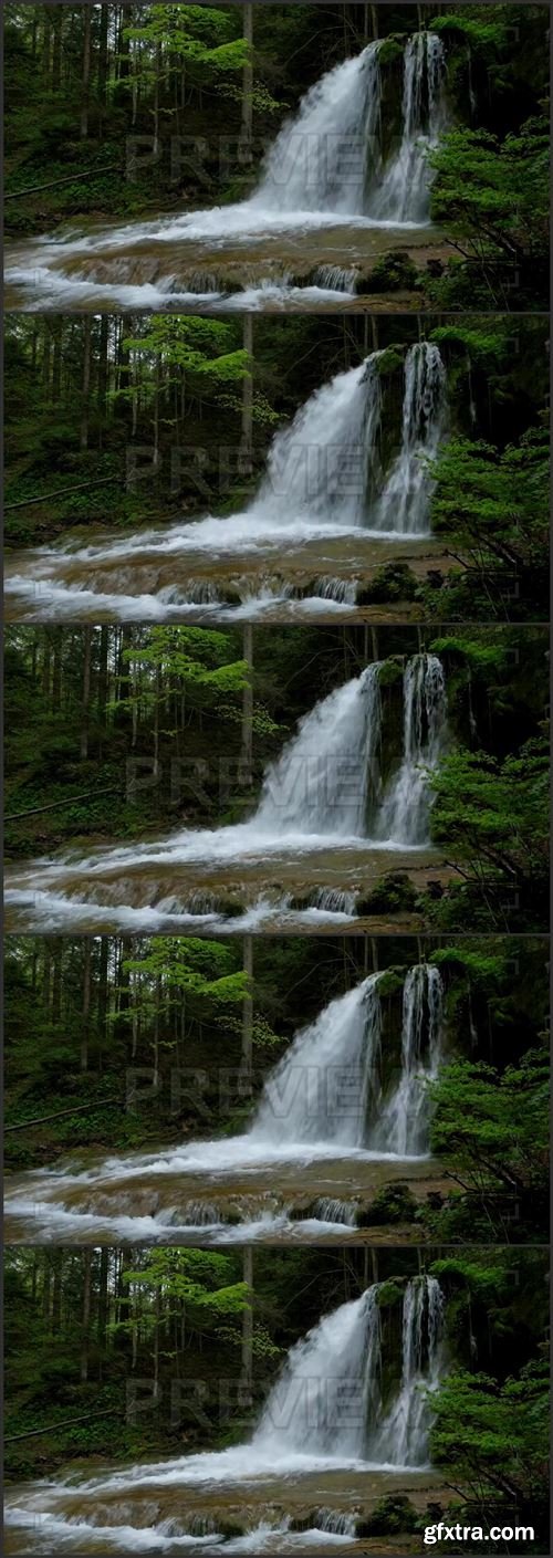 Waterfall In Lush Forest 886729