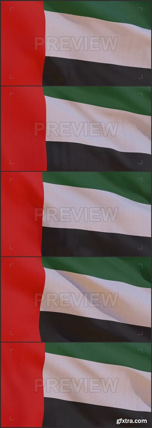 United Arab Emirates Flag 250744