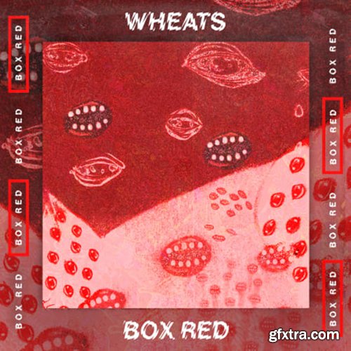 Toolroom Box Red Artist Series Volume 1 Wheats WAV