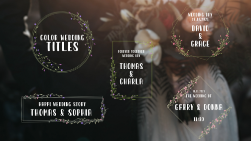 Videohive - Color Wedding Titles - 33959571 - 33959571