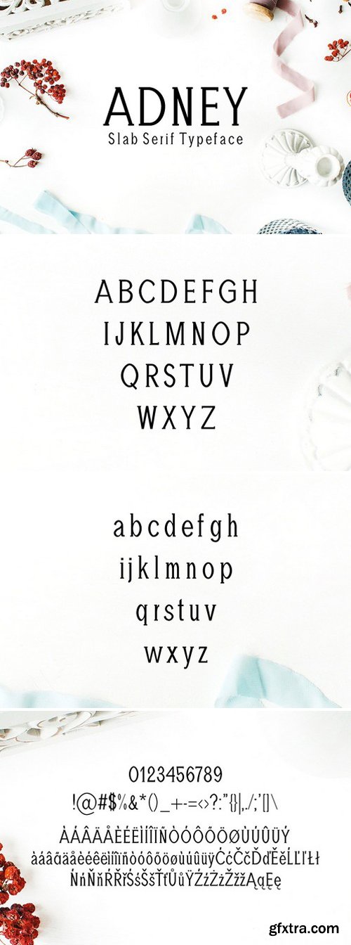 Adney Slab Serif 3 Font Family