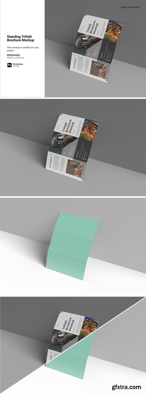 Standing Trifold Brochure Mockup