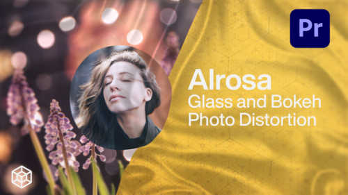 Videohive - Alrosa - Glass and Bokeh Photo Distortion - 33872397 - 33872397