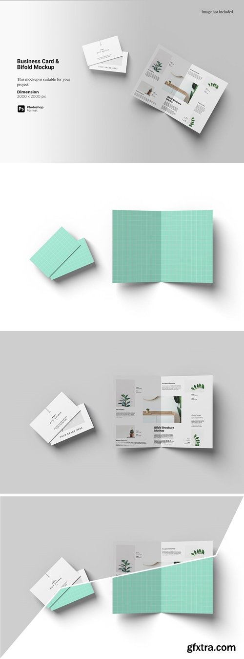 Business Card & Bifold Mockup