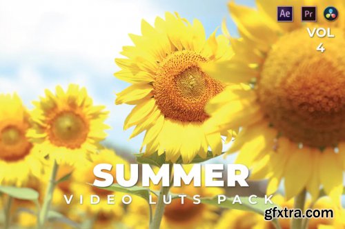 Summer Pack Video LUTs Vol.4