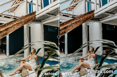 Moody Tone Action & Lightrom Presets