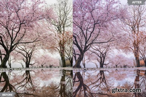 Spring Lightroom Presets Dekstop and Mobile