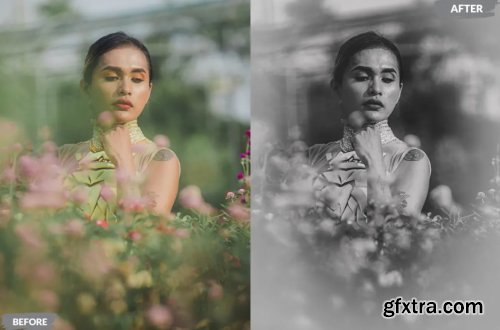 Blackground Lightroom Presets Dekstop and Mobile