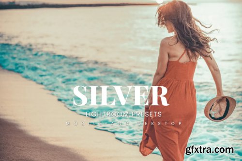 Silver Lightroom Presets Dekstop and Mobile