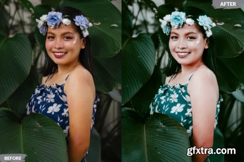 Beautiful Lightroom Presets Dekstop and Mobile