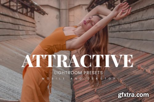 Attractive Lightroom Presets Dekstop and Mobile