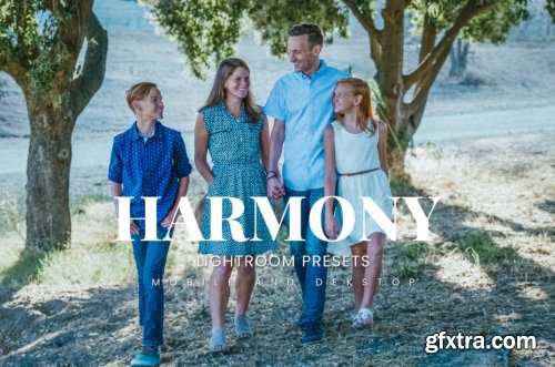 Harmony Lightroom Presets Dekstop and Mobile