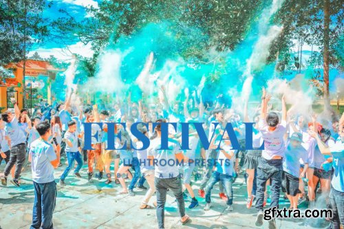 Festival Lightroom Presets Dekstop and Mobile