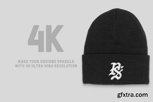 CreativeMarket - Los Angeles Apparel Cuff Beanie 6179930