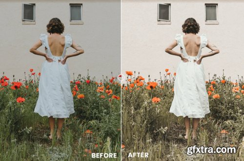 Natural Beige Action & Lightrom Presets