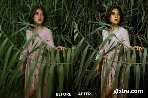 Evergreen Action & Lightrom Presets