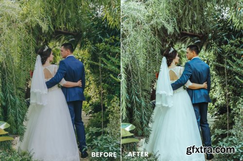 Evergreen Action & Lightrom Presets