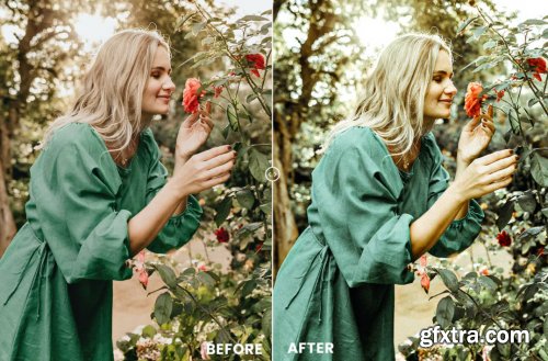 Evergreen Action & Lightrom Presets