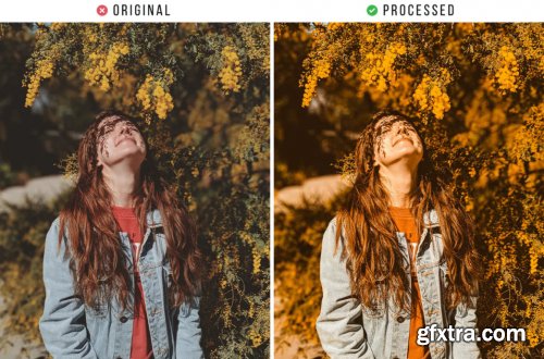Yellow Nature Tones Action & Lightroom Preset