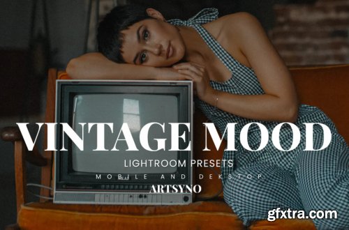 Vintage Mood Lightroom Presets Dekstop and Mobile