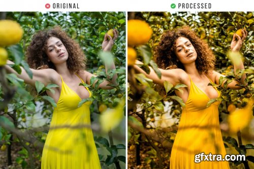 Yellow Nature Tones Action & Lightroom Preset