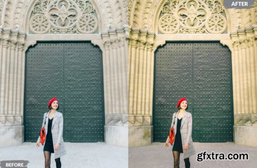 Stylish Vibes Lightroom Presets Dekstop and Mobile