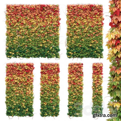 Wall from autumn leaves. Set of 6 models