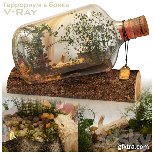 Terrarium in a Bottle