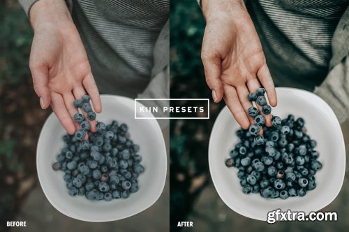 CreativeMarket - 5 WANDERLUST LIGHTROOM PRESETS 6265738